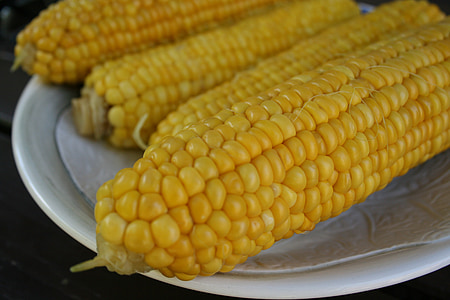 mazorca de maíz, comida, amarillo