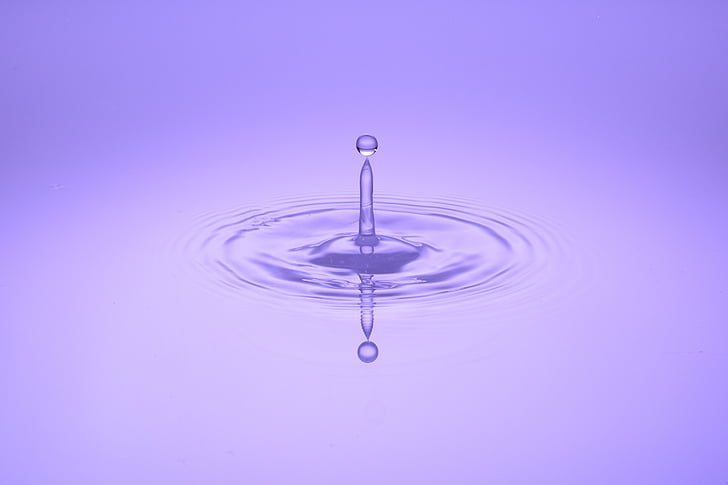 drip, water, mirroring, wave, purple, drop of water, liquid