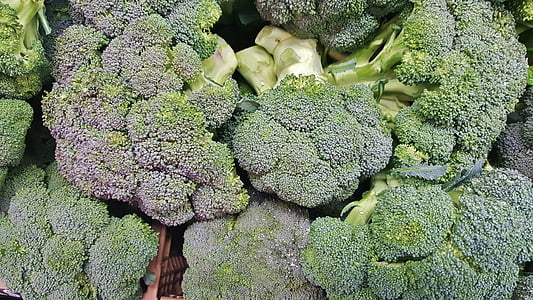 brócoli, verduras, verdes, vegetales verdes, familia del repollo, florecillas, nutrición
