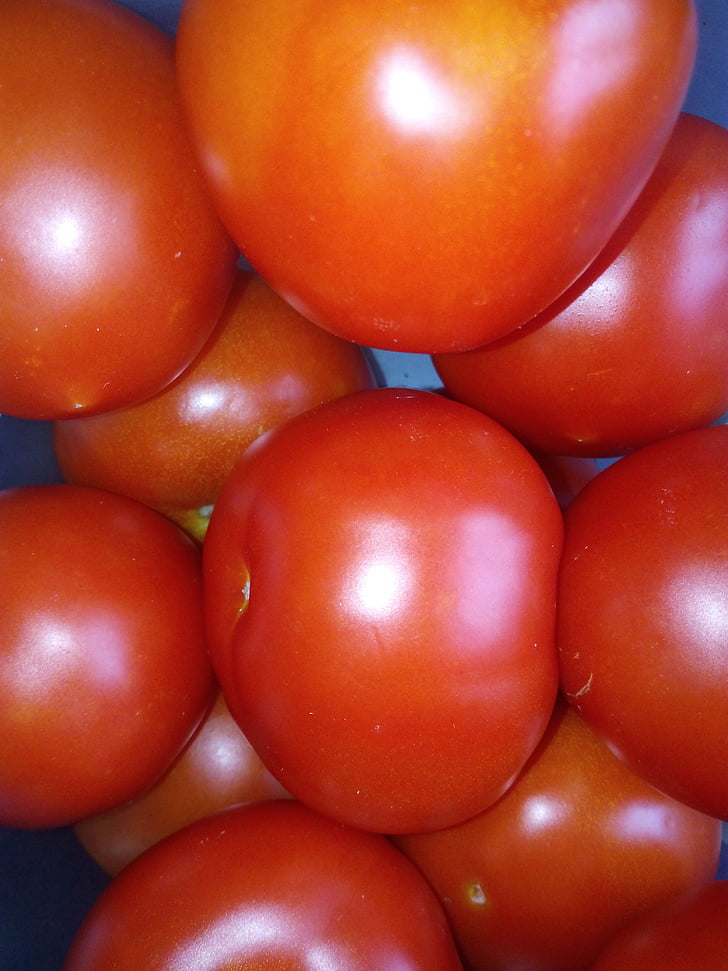 tomaatit, vihannekset, Kasvis