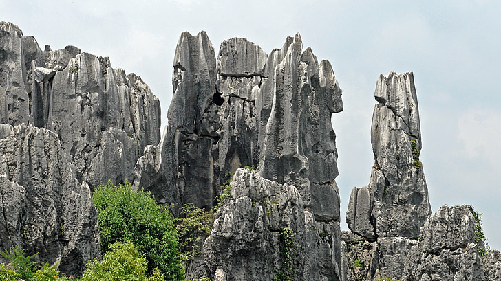klints, klinšu skujas, akmens veidojumi, Ķīna, Kunming, akmens mežs, akmeņi