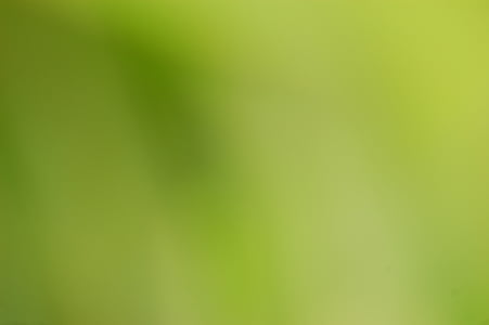 green, blur, background, blurred, color, colour, nature