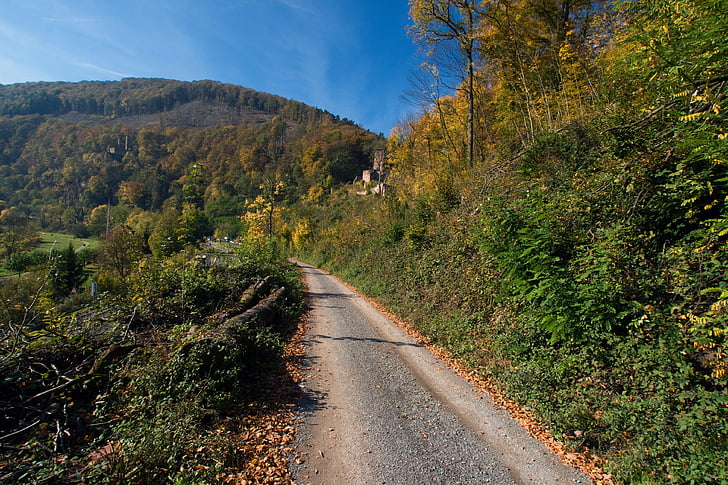 Neckarsteinach, Odenwald, Herbst, entfernt, Natur, Straße, Wald