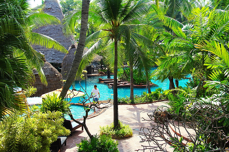 Resort, Hotel, plajă, înot, piscină, copac, verde