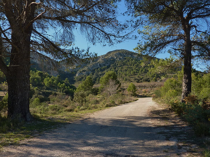 road, track, spain, trees, travel, mountain, rural