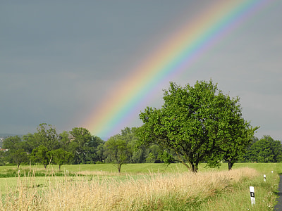 Rainbow, taevas, puud, loodus, taevas, maastik, suvel