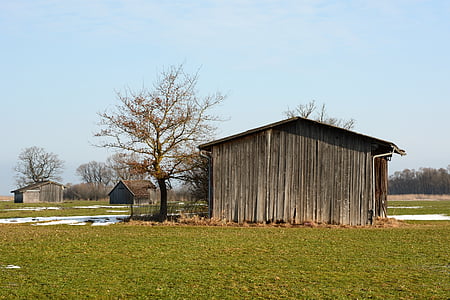 meadow, pasture, scale, barn, nature, wintry, winter