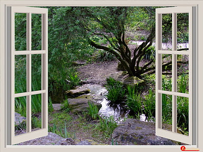 pencere, Bahçe, pencere çerçeveleri, Outlook, Bach, küçük dere, Park