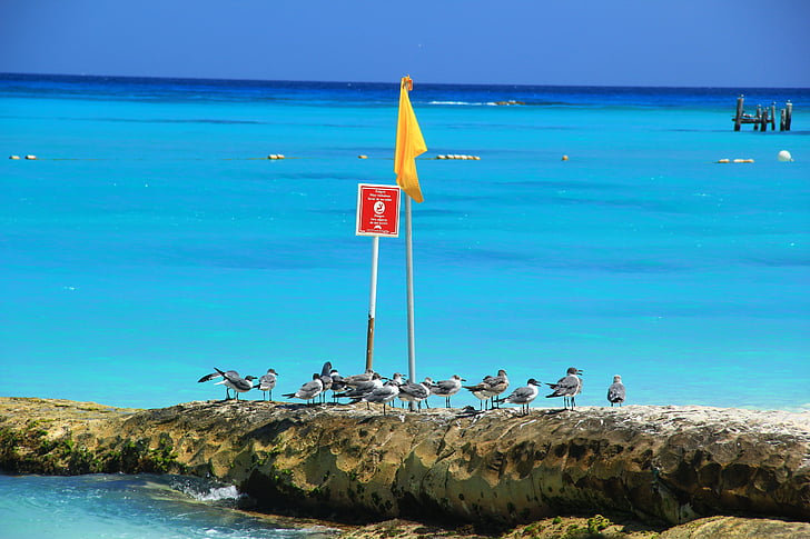 Playa, azul, Bandera, mar, naturaleza, Costa, paisaje