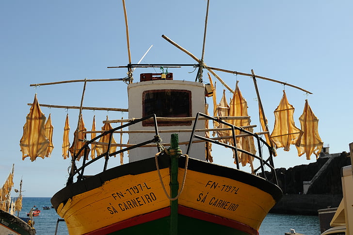 Madeira, Portugal, boot, gedroogde vis, vis, Fischer