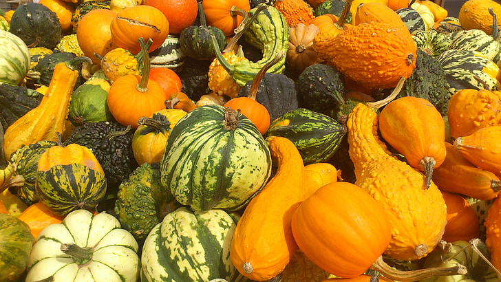 dýně, dýně, Vanda, Halloween, jídlo, podzim, barevné