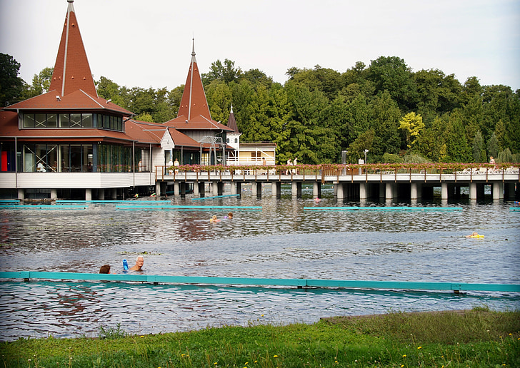 hevíz, the thermal lake, hungary, spa, bathing, architecture, water