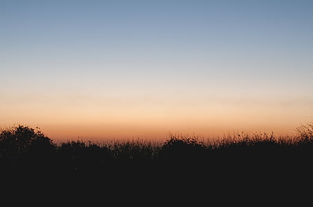grass, outdoor, sky, view, sunset, silhouette, nature