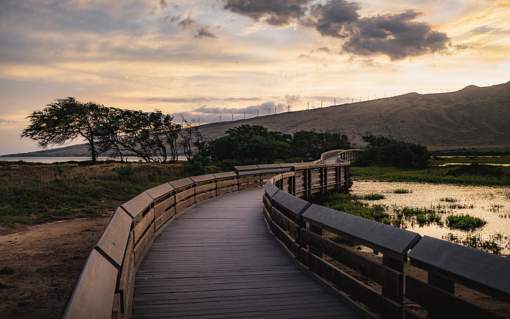 architecture, infrastructure, trees, clouds, sky, water, river