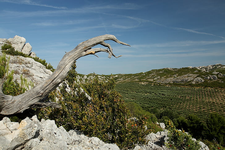 Provence, Alpilles, vallée du renard, nature, montagne, paysage, colline
