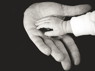 mãos, bebê, criança, adulto, infância, família, humana