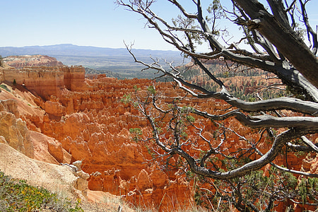 Bryce canyon, krajina, Národní, parku, Příroda, malebný, kaňon