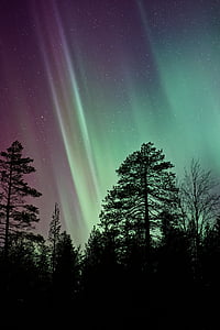 silhuet, Foto, Aurora, nat, tid, grøn, lys