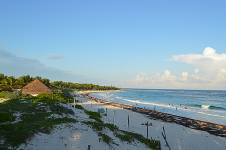 Tulum, Bãi biển, tôi à?, Cát, Costa, bầu trời, thân cây