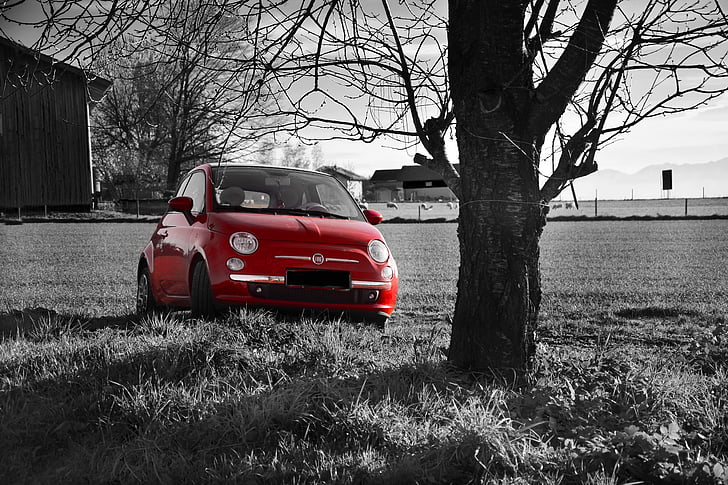 fiat 500, red, field, black and white, vehicle, oldtimer, nostalgia
