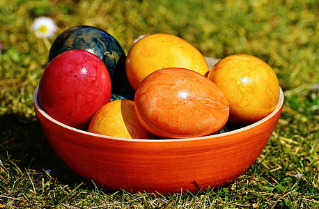 оболонка, яйце, кольорові, Великдень, Зі святом Великодня, колір, кольору яєчної