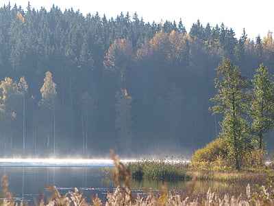 fog, forest, natural, sweden, autumn, lake, morning