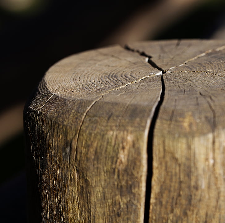 pařez, protokoly, podíl, dřevěný, dřevo, praskliny ve dřevě, dřevo - materiál