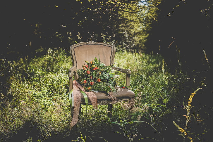 flors, cadires, plantes, natura, l'aire lliure, verd, herba