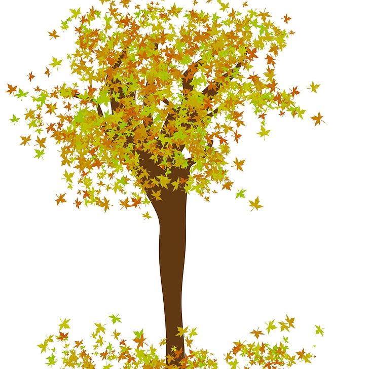 δέντρο, σχέδιο δέντρων, φύλλα, φύλλο, το φθινόπωρο, σεζόν, φύση