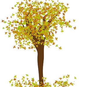 δέντρο, σχέδιο δέντρων, φύλλα, φύλλο, το φθινόπωρο, σεζόν, φύση