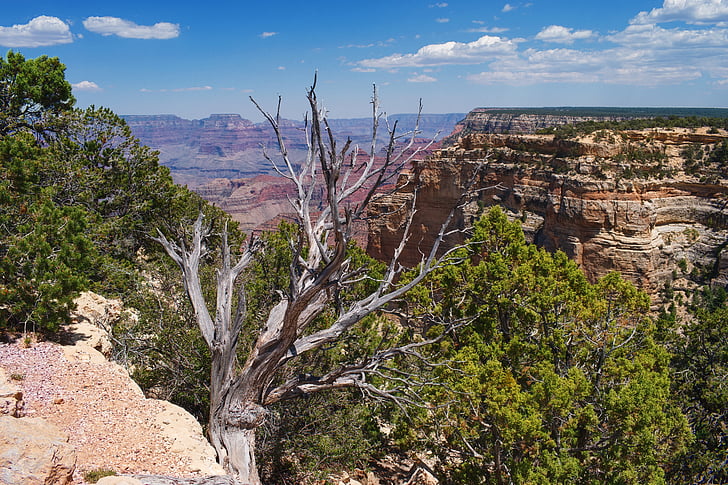 grand canyon, landscape, mountains, america, usa