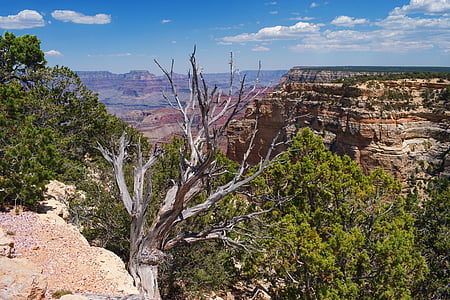 Grand canyon, cảnh quan, dãy núi, Mỹ, Hoa Kỳ