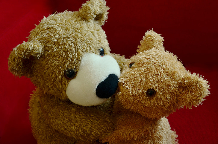 Teddy, Kuscheln, Liebe, Freundschaft, Stofftier, ausgestopfte Tiere, Bären