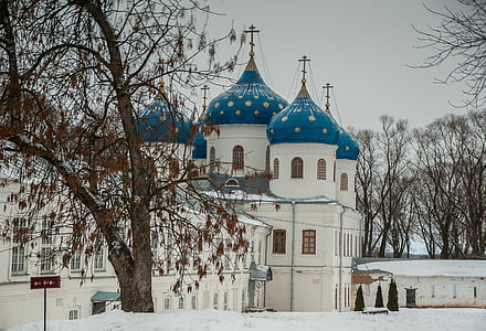 Rusia, Monasterio de, Veliki Nóvgorod, Iglesia ortodoxa, cúpulas, arquitectura, árbol desnudo