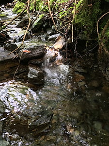 Stream, Rocks, vatten, sten, floden, miljö, naturliga