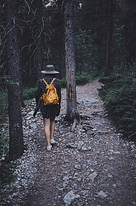Metsä, ulkona, polku, henkilö, Trail, puut, kävely