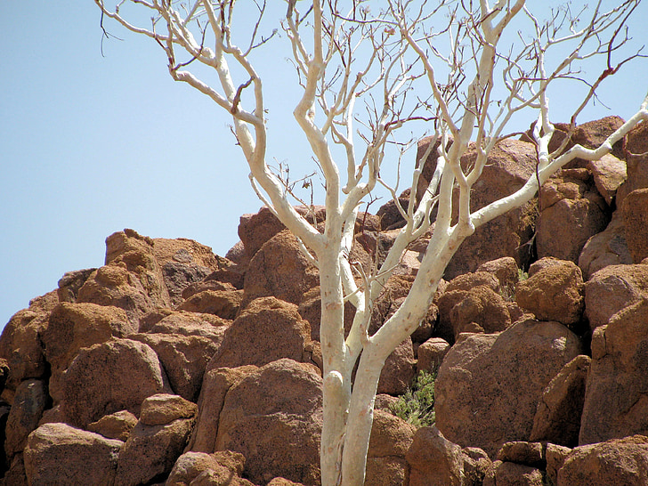 Rock, ørken, Namibia