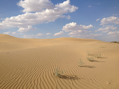 砂漠, インド, 自然, とげがあります。, 乾燥, サンザシ, 空