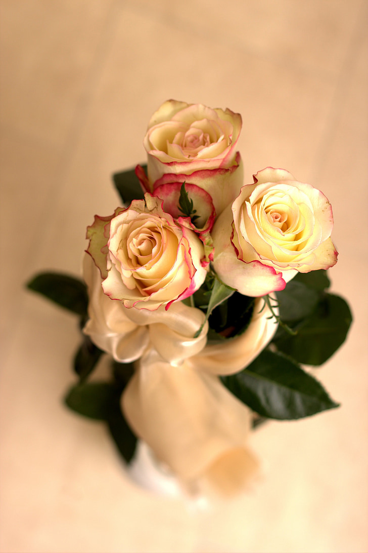 rosa, fiore, petali di, bouquet, bouquet da sposa, Sposa, nuziale
