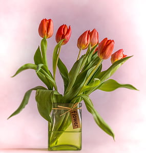 tulipány, váza, červená, kytice, květiny, jaro, jarní květiny