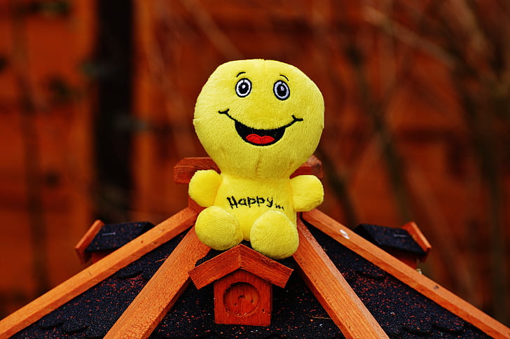 มีความสุข, ยิ้ม, หัวเราะ, ตลก, อีโมติคอน, อารมณ์ความรู้สึก, สีเหลือง