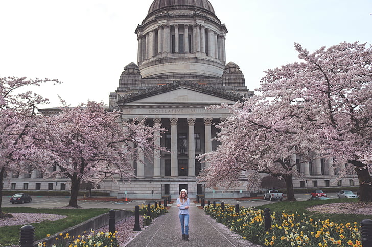 Capitol, xây dựng, Washington, nhà nước, mùa xuân, Mỹ, Hoa Kỳ