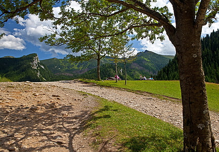 Tatrai, kraštovaizdžio, Lenkija, kalnų, viršų, medis, Gamta