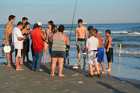 ομάδας ανθρώπων, καρχαρίας, στη θάλασσα, το καλοκαίρι, παραλία, κίνδυνος, Ομάδα