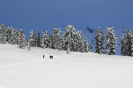 Зима, снег, на снегоступах, походы на плетёных лыжах, Снежное, Природа, холодная