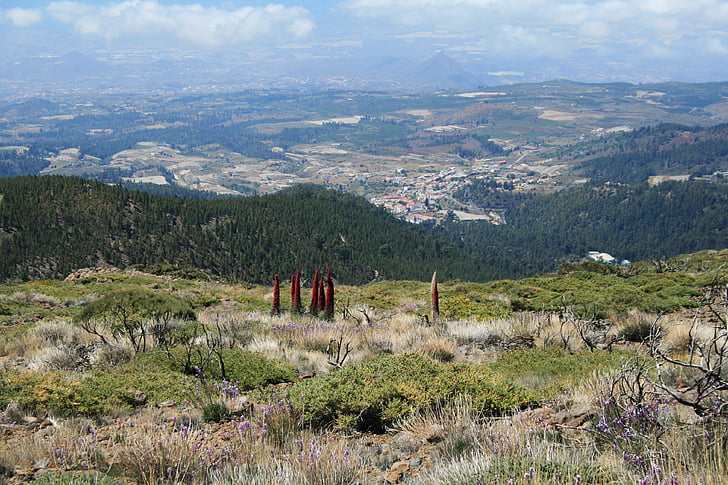 Kanariansaaret, Teiden kansallispuisto, Tenerife, Espanja, teiden, Luonto, maisema