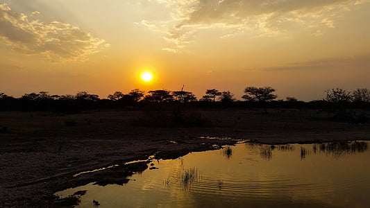 Африка, Намібія, Природа, Саванна, Захід сонця, Національний парк, Сутінки