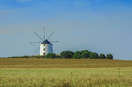 moinho de vento, o grão, colheita, Portugal