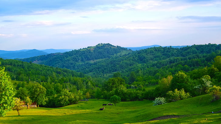 romania, ciucas, landscape, mountain, green, nature, scenery