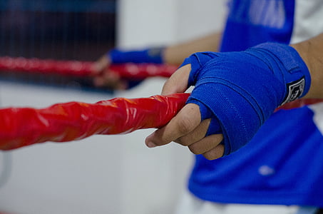Boxeo, combatiente de la, cuerdas, manos, personas, mano humana, guante protector